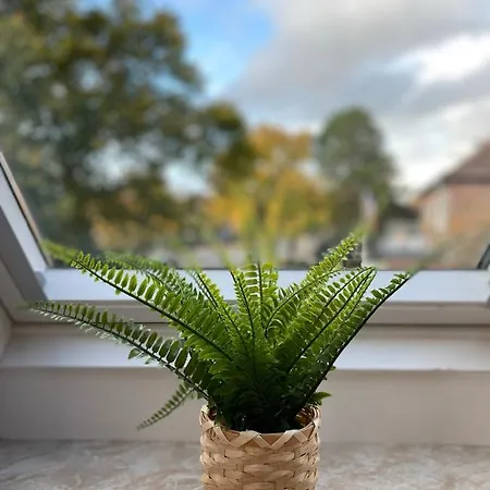 Appartamento Ferienwohnungen Glueckstadt